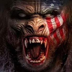 Meet your Posher, Posh